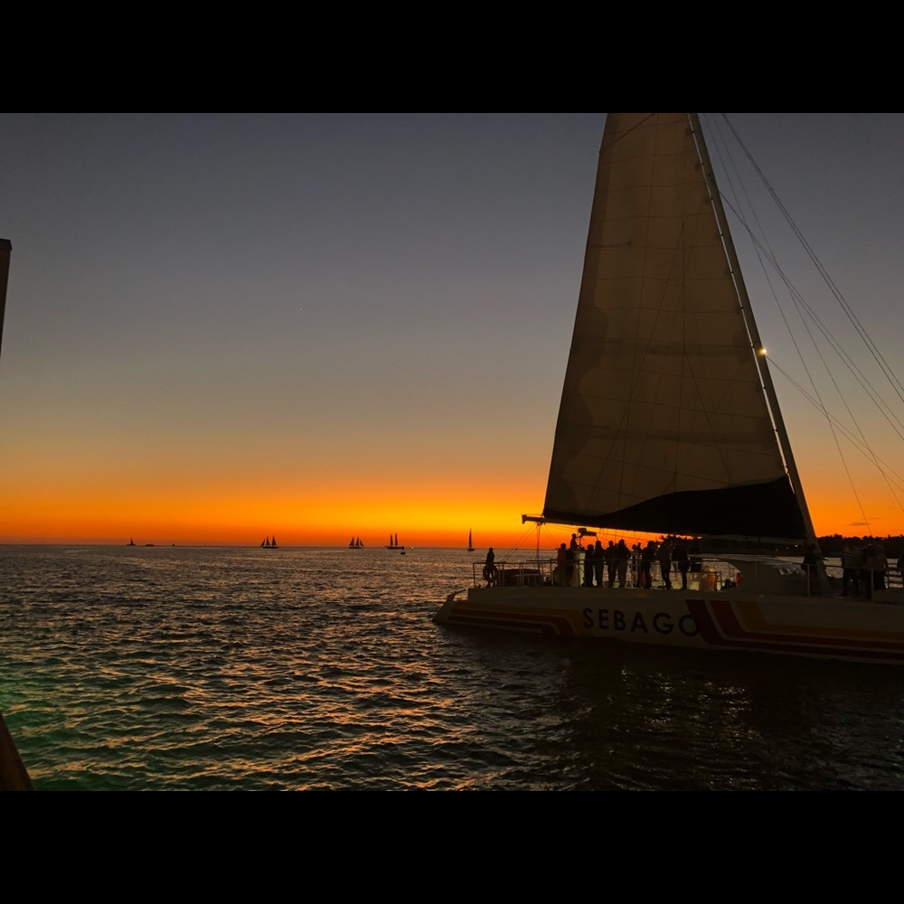 Meet your Posher, Krystle